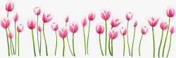 粉色手绘郁金香花朵素材