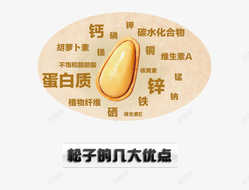 松子的优点png免抠素材_88icon https://88icon.com 优点 坚果素材 松塔 松子 松树 果仁 食物