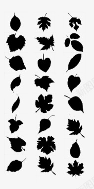 浪漫树叶不同形状叶子图标图标