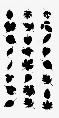 黑白的树叶不同形状叶子图标高清图片