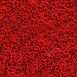红色密集玫瑰背景素材