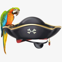 海盗帽子落在帽子上的鹦鹉高清图片
