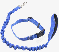 新品蓝色大小型犬牵引绳狗链子素材