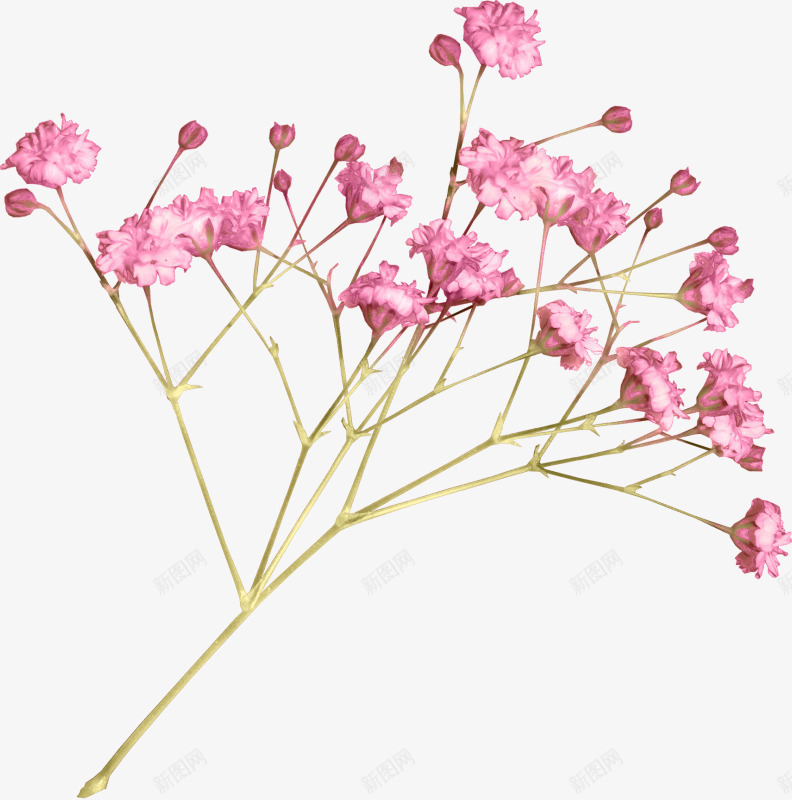 粉色手绘一枝小花装饰图案png免抠素材_88icon https://88icon.com 一枝小花 免抠PNG 唯美 小清新 手绘 文艺 粉色 花朵 装饰图案