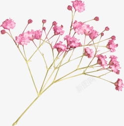 粉色手绘一枝小花装饰图案素材