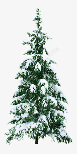 冬天雪树浪漫元素素材