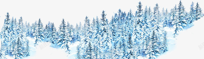 摄影冬天的森林合成png免抠素材_88icon https://88icon.com 冬天 合成 摄影 森林