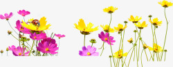 手绘粉黄色春季花朵花海素材