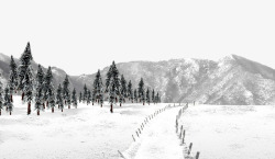 白色雪覆盖树场景冬天的雪山高清图片