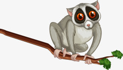 大眼猴动物卡通大眼睛素材