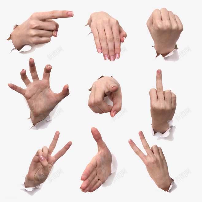 各种手势png免抠素材_88icon https://88icon.com 人物图库 人物手势 优秀 伸出 创意 各种手势 大拇指 好棒 巴掌 广告设计 成功 戳破 手势 手指 手捧 拳头 握拳 最好 最棒 破洞 竖起大拇指 第一 纸张 胜利 设计