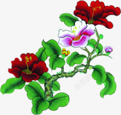 中秋节手绘红花绿叶素材
