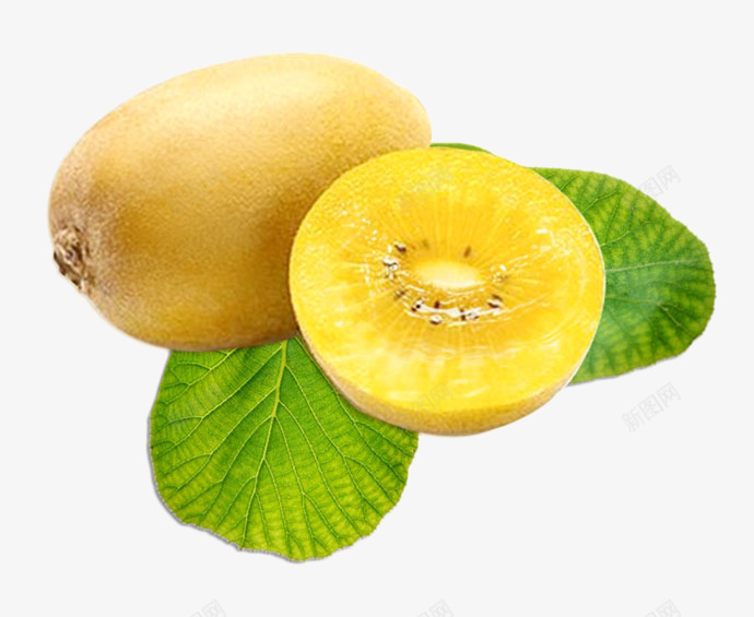金黄色黄心猕猴桃png免抠素材_88icon https://88icon.com 树叶 猕猴桃 金黄色 黄心