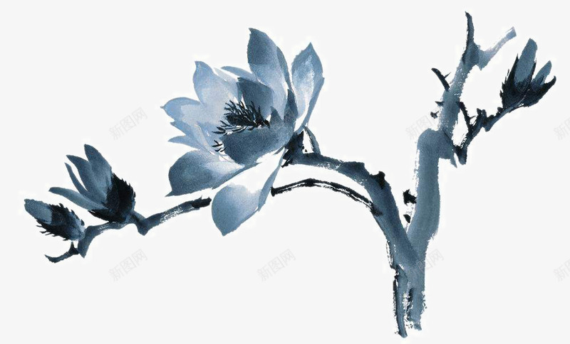 手绘玉兰花png免抠素材_88icon https://88icon.com 中国画 写意花草 国画小品 国粹 宣纸画 手绘花卉 美术插图 艺术作品 装饰花草