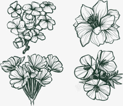 手绘素描冬天花朵素材