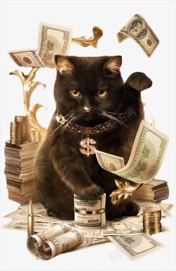 纸钱黑色的猫咪高清图片