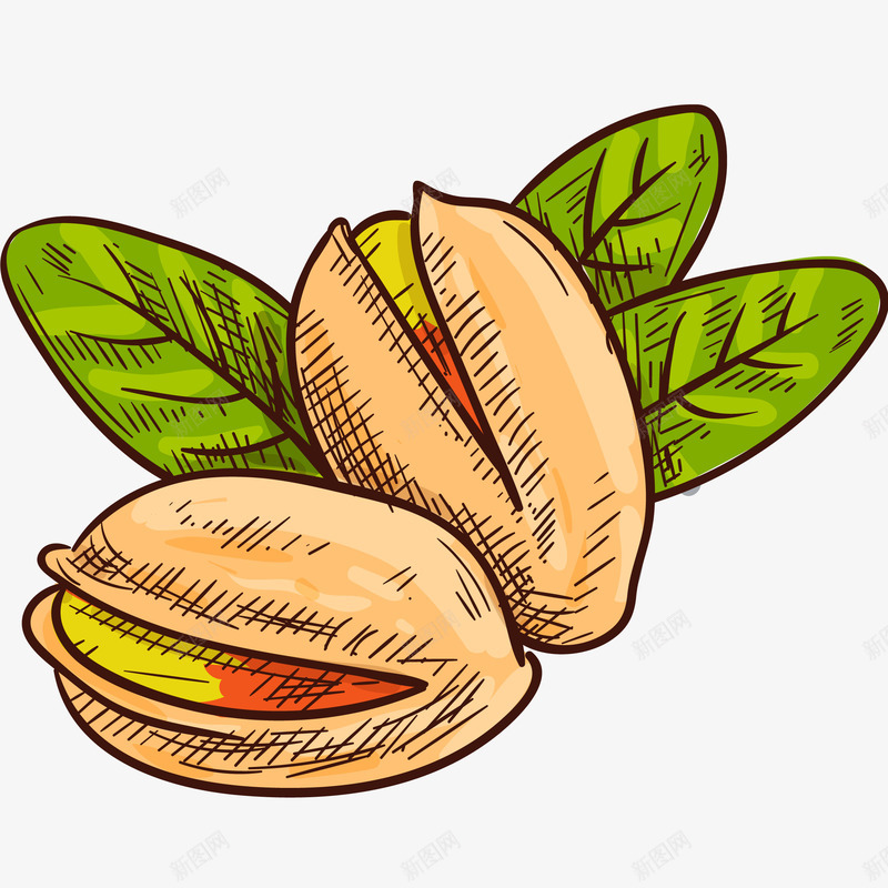 开心果矢量图ai免抠素材_88icon https://88icon.com 休闲食品 小吃 开心果 矢量开心果免抠PNG 秋季养生 绿叶 矢量图