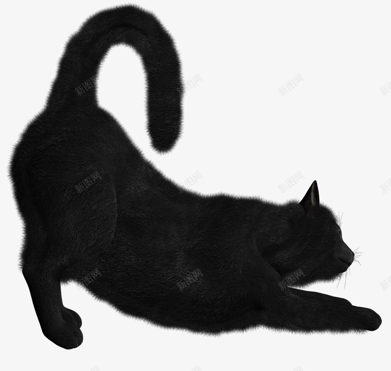 黑色的猫咪png免抠素材_88icon https://88icon.com 剪影 动物 水墨底图 水墨画猫 猫 黑色