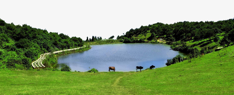 永泰青云山风景png免抠素材_88icon https://88icon.com 天池草甸 旅游风景 森林 湖泊 生态旅游区 福建省国家4A级景区 草甸 马匹