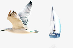 海鸥和帆船元素素材