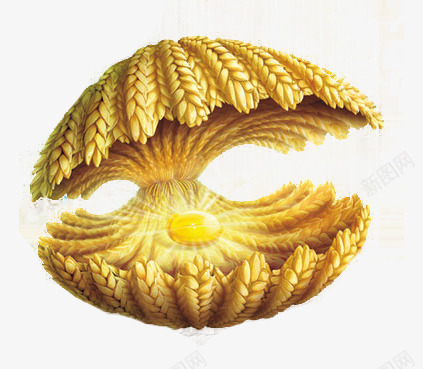 小麦胚芽油png免抠素材_88icon https://88icon.com 小麦创意 小麦胚芽油 小麦贝壳 胚芽油
