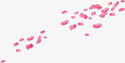 空中飞舞的粉色花瓣素材