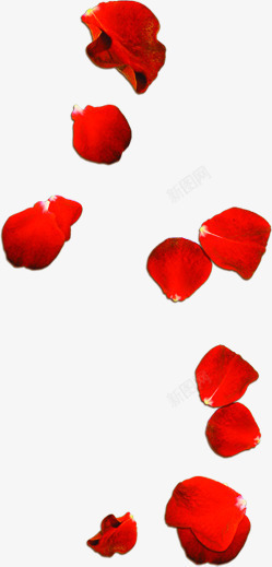 鲜红色玫瑰花瓣七夕素材