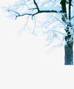 摄影冬天树木雪花素材