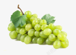 一串绿葡萄素材