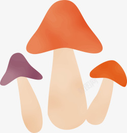 橙色春季卡通蘑菇素材