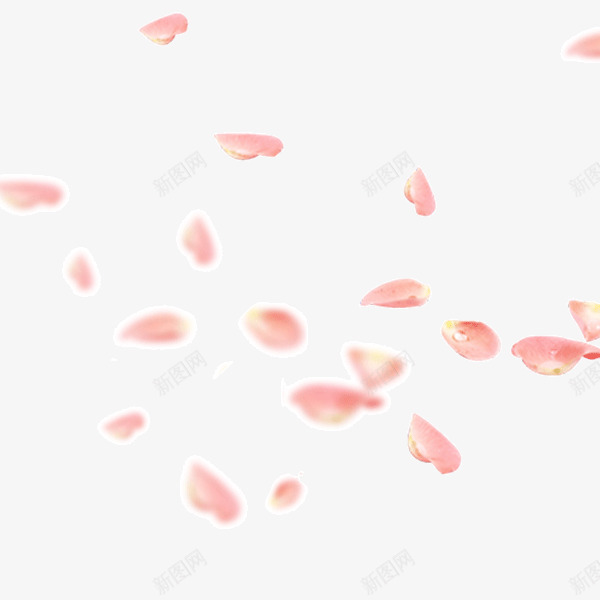 粉色撒花庆祝png免抠素材_88icon https://88icon.com 完结撒花 庆祝 撒花 撒花庆祝 礼物撒花 粉色 装饰