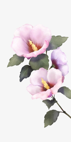 粉色的杜鹃花素材