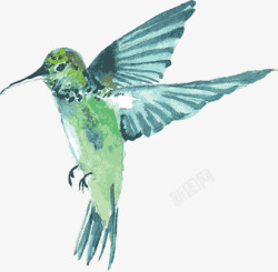 手绘蓝绿色水彩小鸟素材
