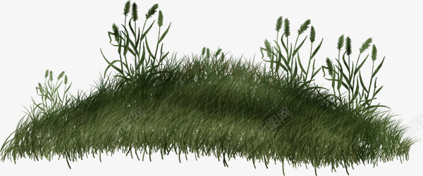 绿色草皮png免抠素材_88icon https://88icon.com 手绘 绿植 花草 草地 草地上的地毯 草皮