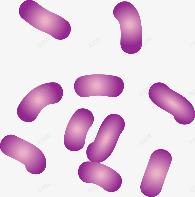 细胞分裂png免抠素材_88icon https://88icon.com 显微镜 生物医疗 生物学 生物研究 真菌 细胞 细胞高清大图 细菌 细菌结构 蛋白质细胞