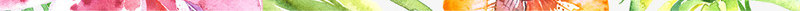 手绘彩色热带植物装配边框png免抠素材_88icon https://88icon.com 彩色 植物 热带 装配 边框