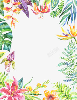 手绘彩色热带植物装配边框素材