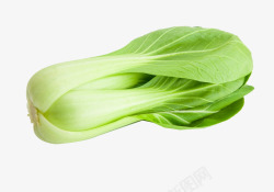 蔬菜实拍小油菜高清图片