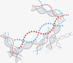 双螺旋分子结构矢量图素材
