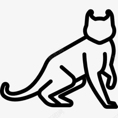 猫咪美国卷毛猫图标图标