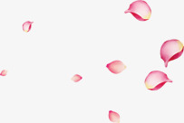 中秋节红粉色漂浮花朵素材