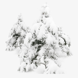 黑白大雪压树枝素材