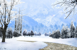 海报创意合成冬天雪花大树素材