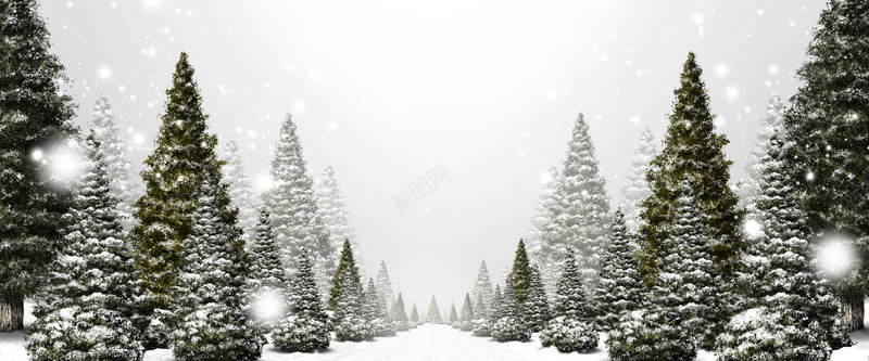 圣诞png免抠素材_88icon https://88icon.com 冬天 冬季 松树 树林 雪景