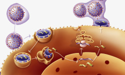 病毒细胞扩散素材