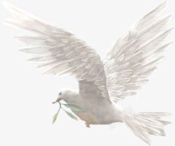 白色和平鸽橄榄枝飞翔素材
