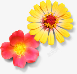 黄粉色春季清新小花装饰素材