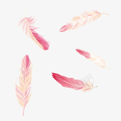 手绘羽毛矢量粉红色羽毛绘画矢量图高清图片
