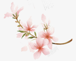 涂鸦植物花朵树叶效果粉色素材