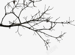 黑色创意冬天的树枝素材